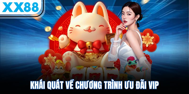 Khái quát về chương trình ưu đãi VIP