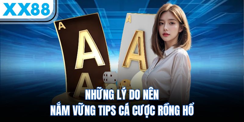Những lý do nên nắm vững tips cá cược Rồng Hổ